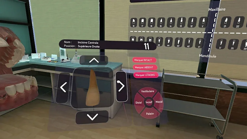 Hygiène Bucco-Dentaire