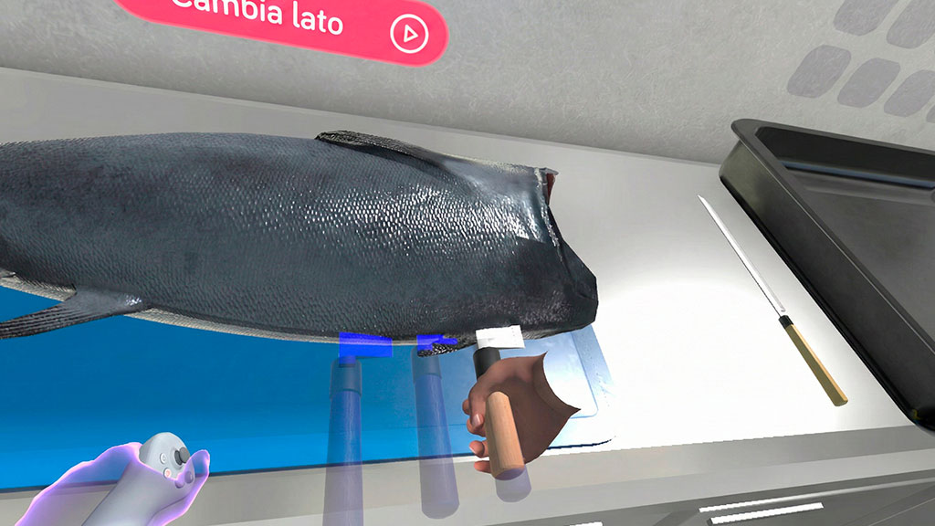 Manipolazione degli Alimenti