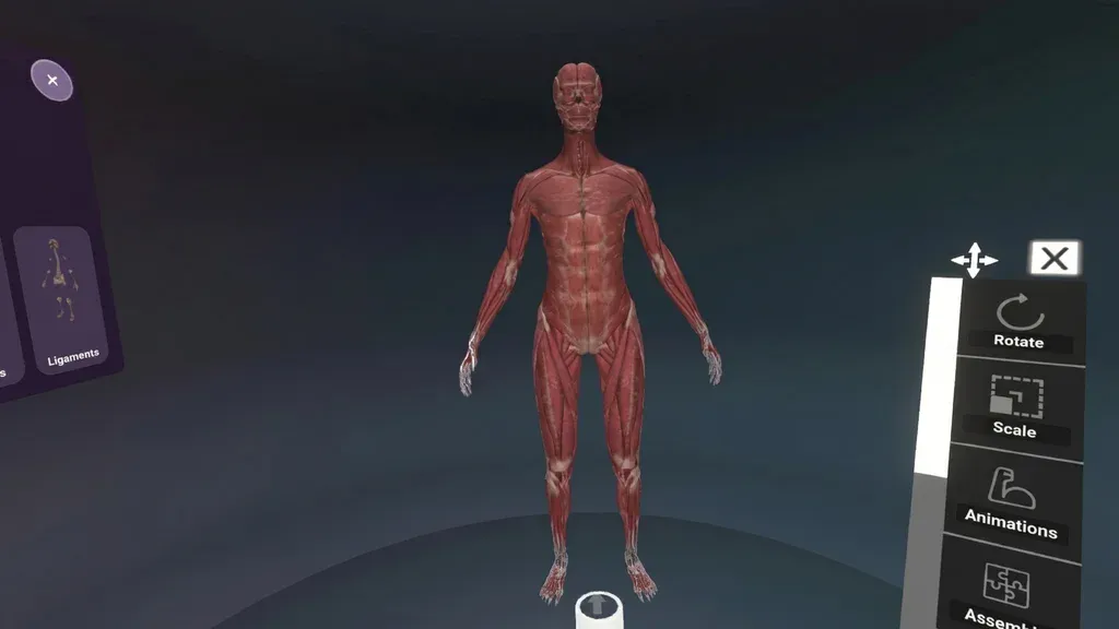Anatomy Classroom