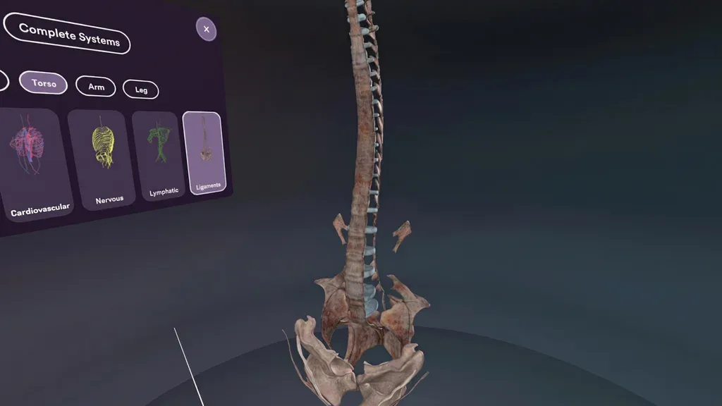Anatomy Classroom